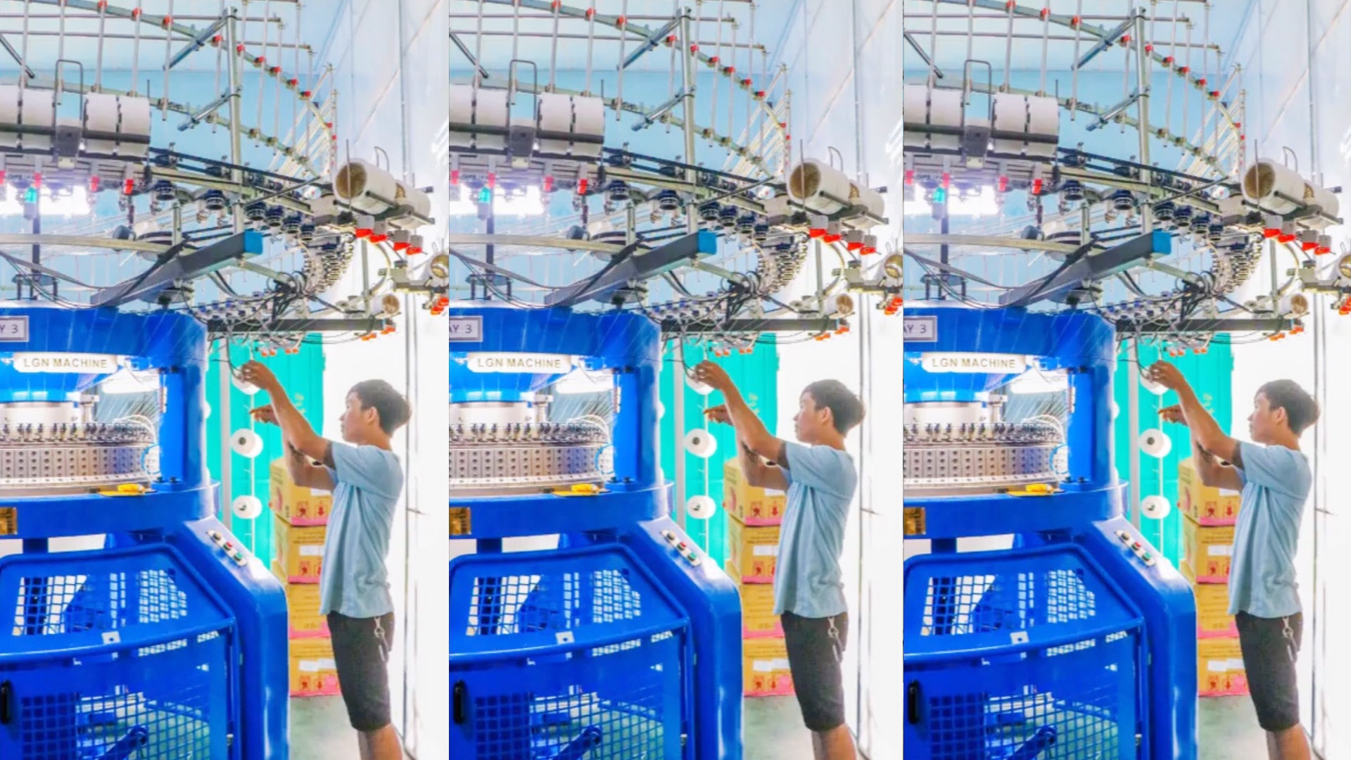 Công Ty TNHH Dệt Kim Lý Gia Nguyễn